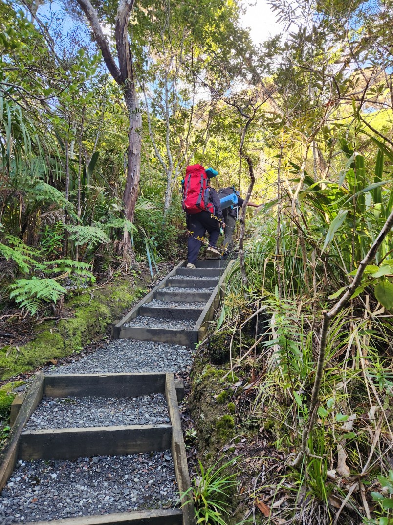 Photograph 3 from the Bronze Award tramp in the Waitākere Ranges.