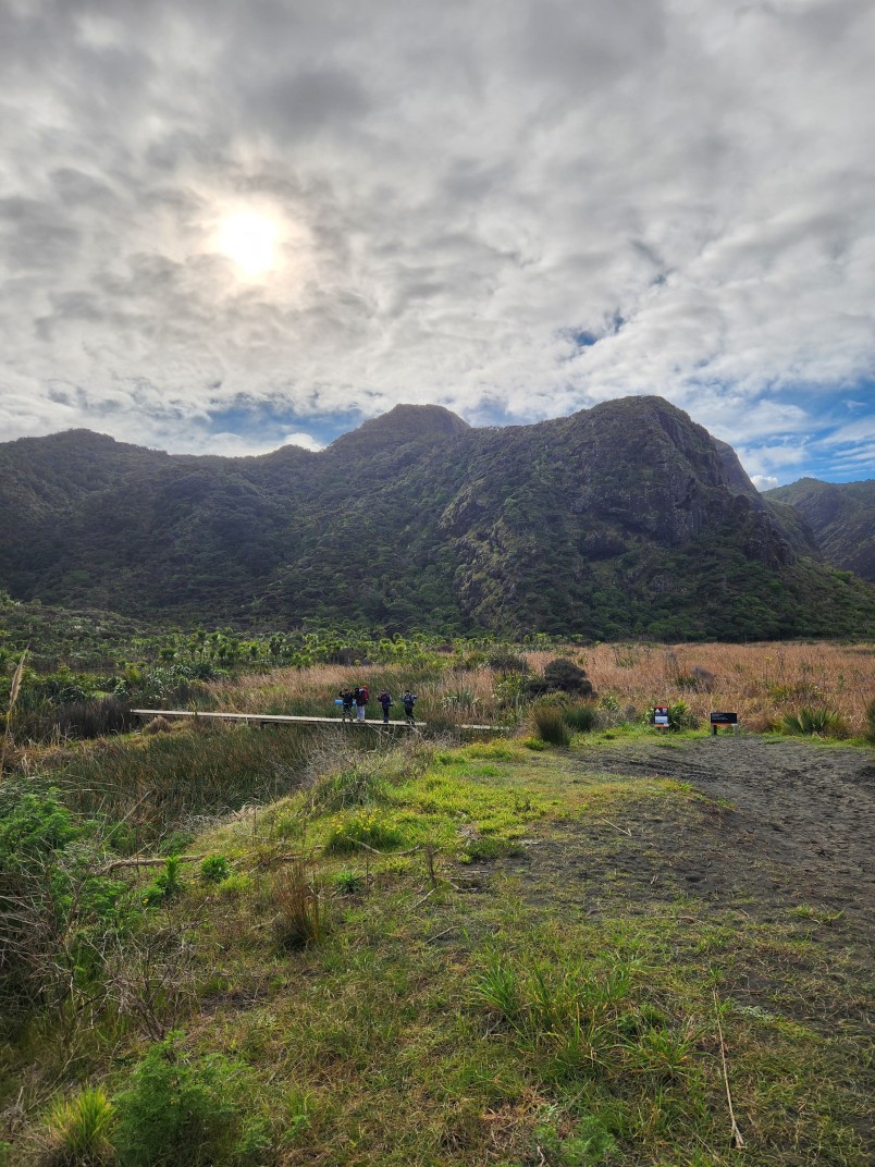 Photograph 6 from the Bronze Award tramp in the Waitākere Ranges.